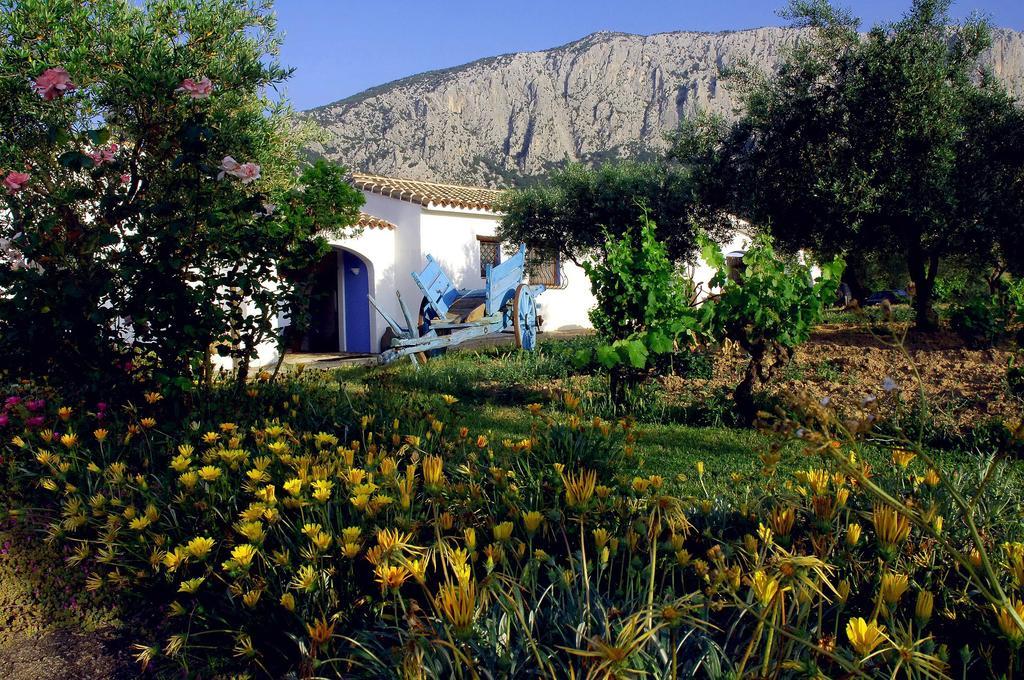 Agriturismo Guthiddai Oliena Luaran gambar