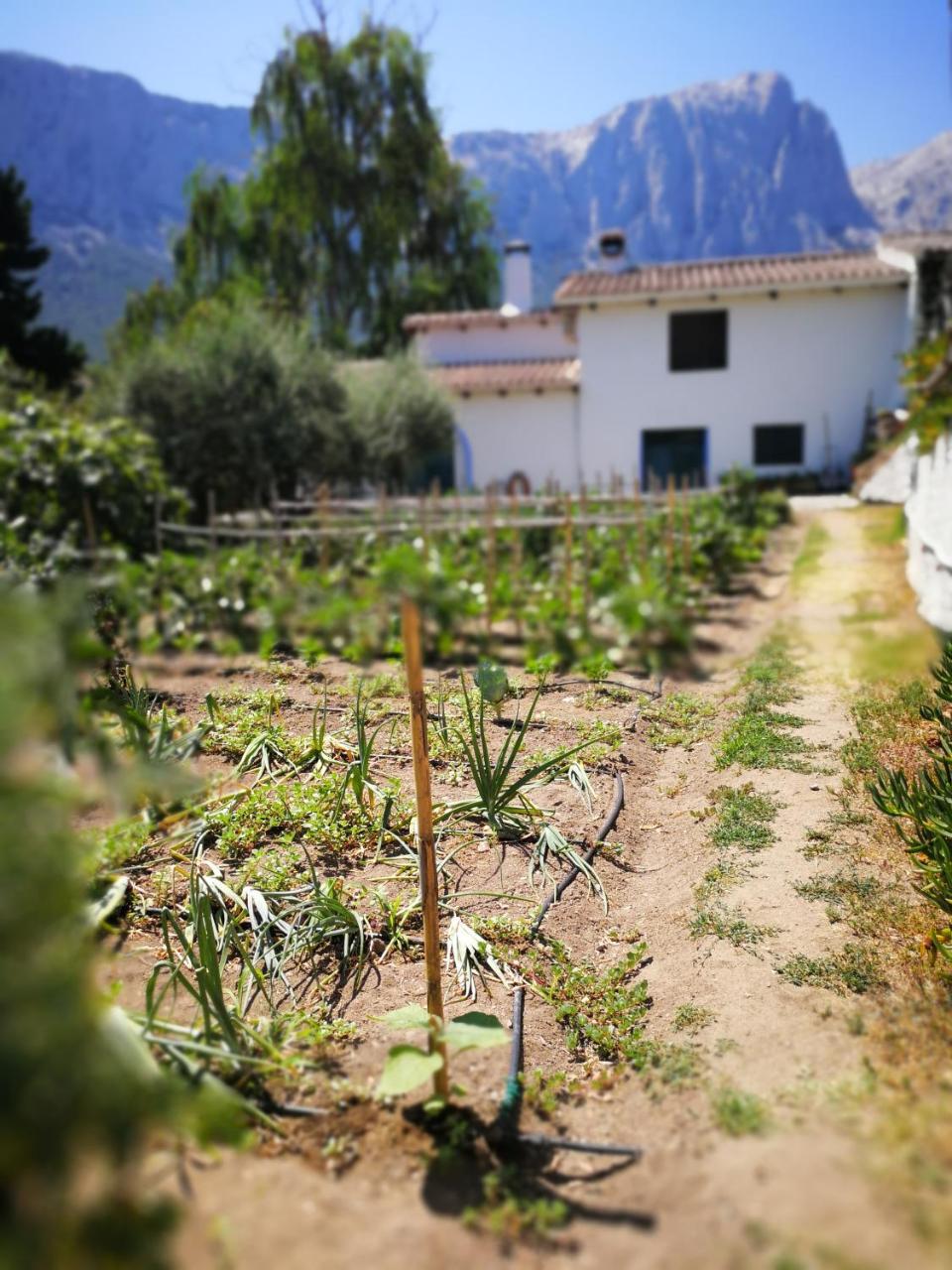 Agriturismo Guthiddai Oliena Luaran gambar